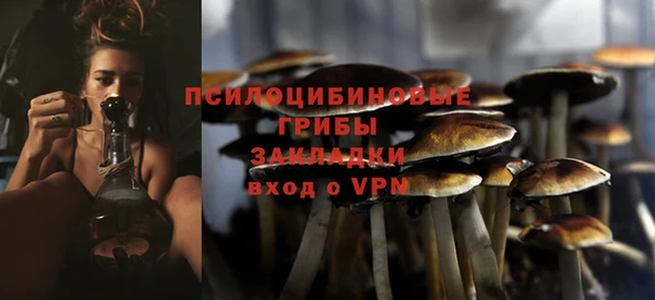 скорость Лиски