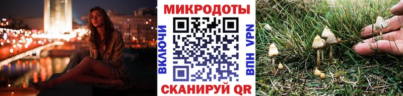 Псилоцибиновые грибы прущие грибы Ачхой-Мартан