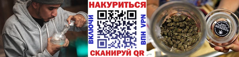 Каннабис гибрид Ачхой-Мартан